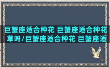 巨蟹座适合种花 巨蟹座适合种花草吗/巨蟹座适合种花 巨蟹座适合种花草吗-我的网站